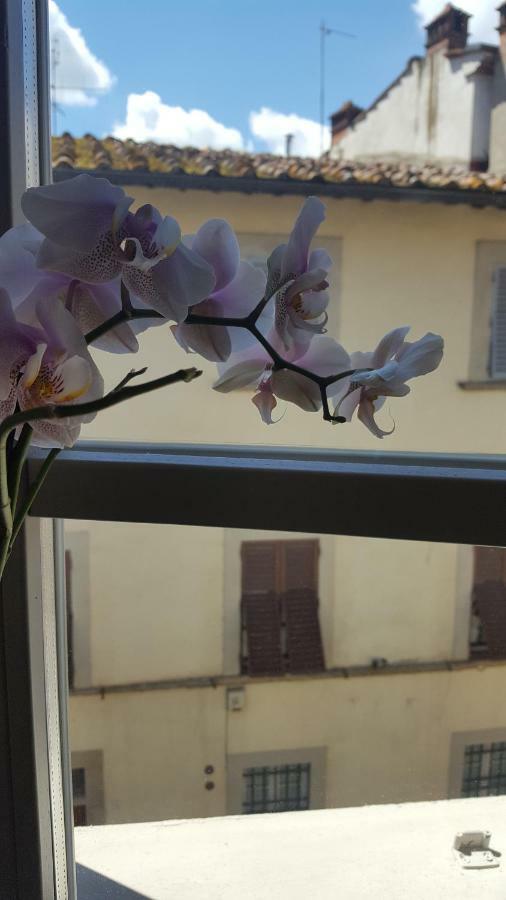 Sweet Tuscany Arezzo Exteriér fotografie